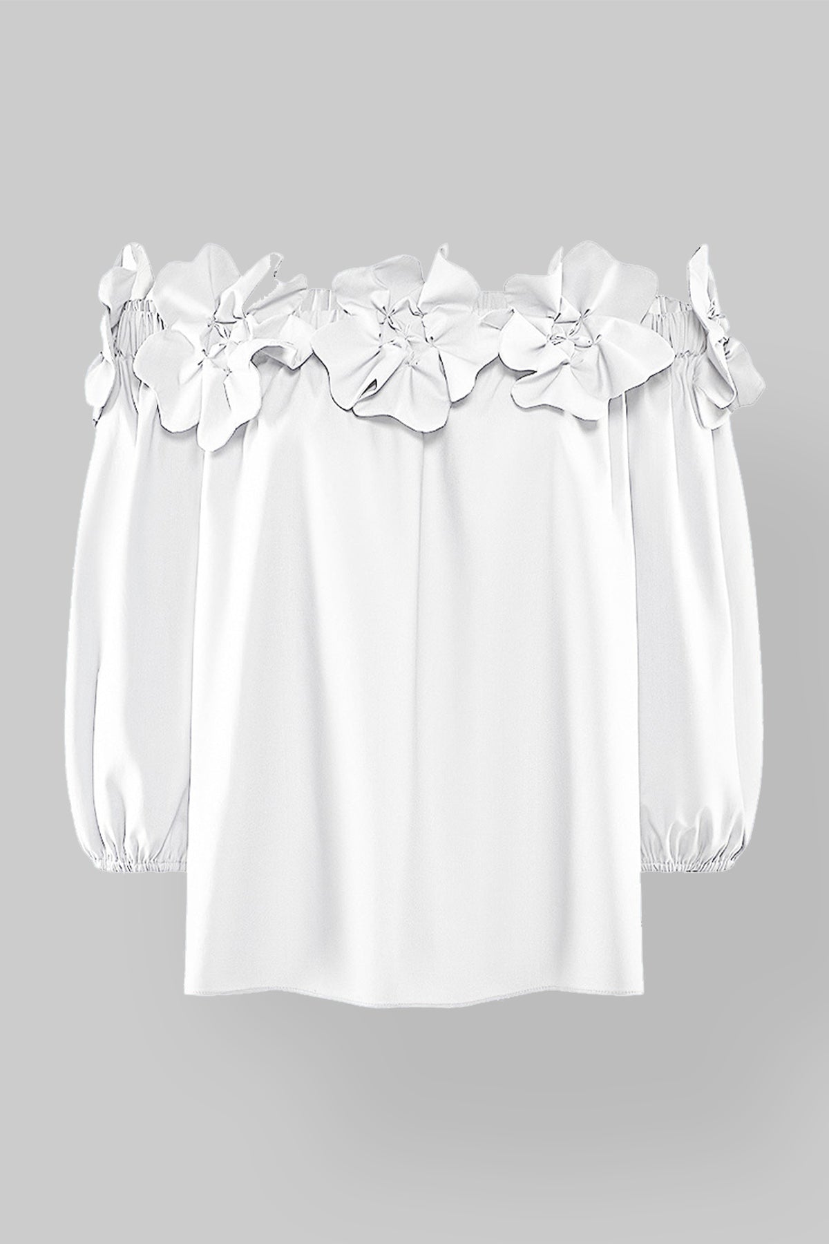 Color 80 - 1 - 50077001_80_01.jpg